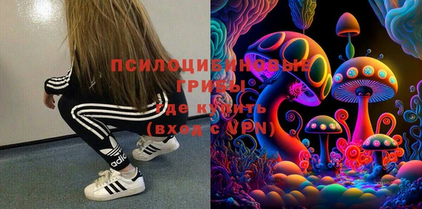 марки lsd Абаза