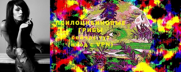 индика Нея