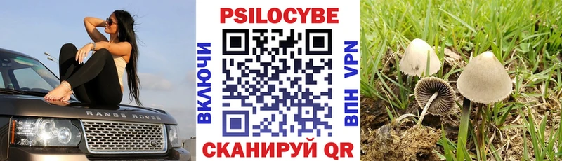 KRAKEN рабочий сайт  Торжок  Галлюциногенные грибы прущие грибы 